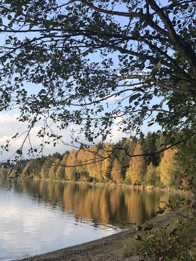 Dum Na Lipne Villa Lipno nad Vltavou Ngoại thất bức ảnh